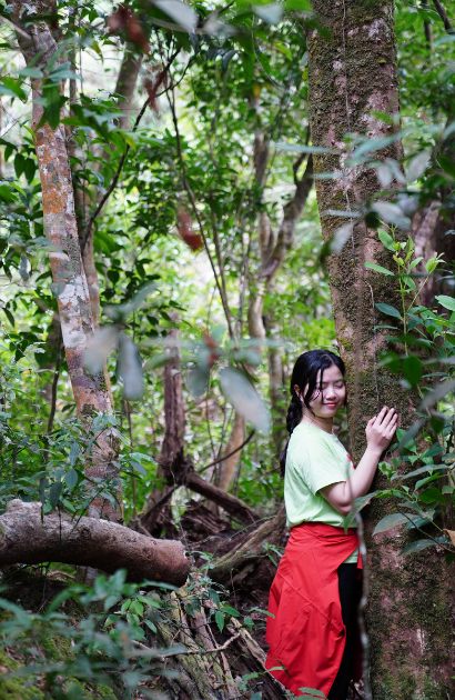Rosie touching an old tree in a tropical forest